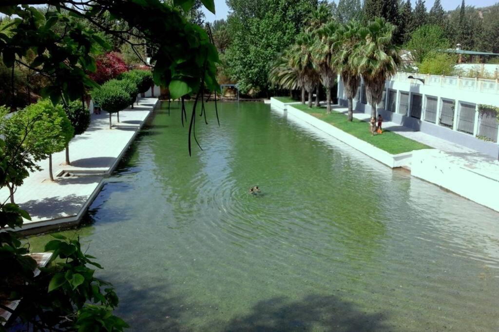 Junto Al Guadalquivir B